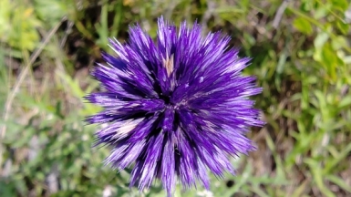 Фото наших Странников