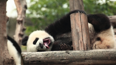 Автор: George Lu, источник: visualhunt