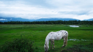 Фото нашей Странницы Марины Шумаковой