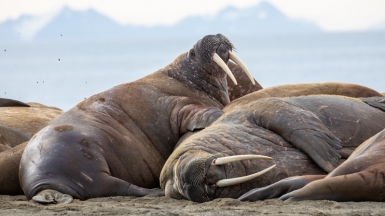 Фото из архива Клуба