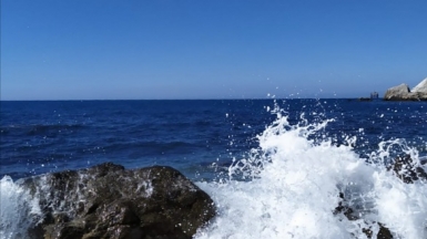 Фото из архива Клуба