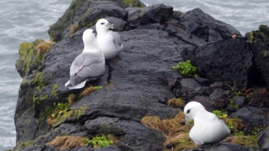 Фото: gailhampshire, visualhunt.com