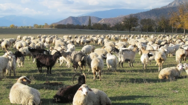 Фото нашего гида Ирины Пряничниковой