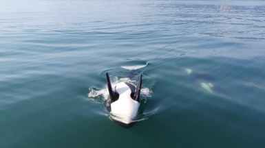 Фото из архива Клуба