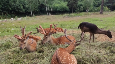 Фото наших Странников