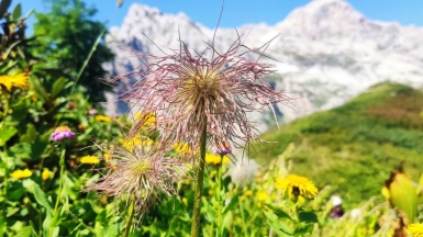 Фото наших Странников