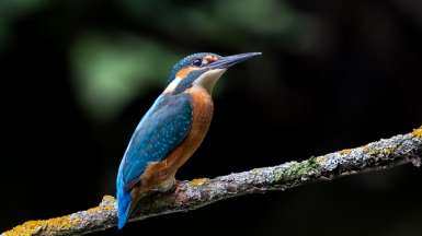 Фото нашего гида Михаила Верёвченко