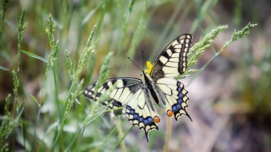 Фото нашего гида Михаила Верёвченко