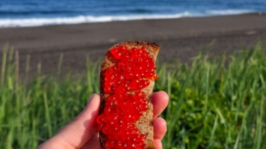 Фото нашей Странницы Марии Дель