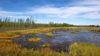 Фото нашего гида Михаила Верёвченко