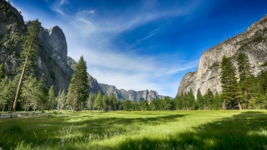 Фото: Mick Haupt, unsplash.com