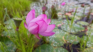 Фото: Евгений Табалыкин