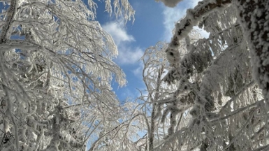 Фото наших Странников