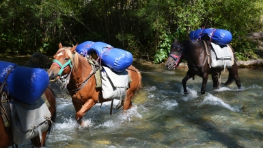 Фото наших Странников