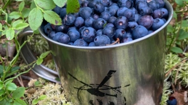 Фото наших Странников