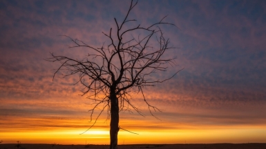 Фото нашего гида Михаила Верёвченко