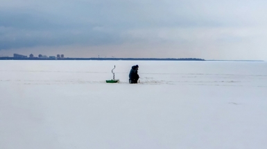 Фото: edgar cavazos on unsplash