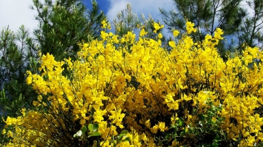 Фото нашего гида Евгении Скопиной