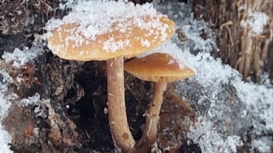 Фото нашего гида Александра Чудновского