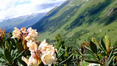 Фото наших Странников