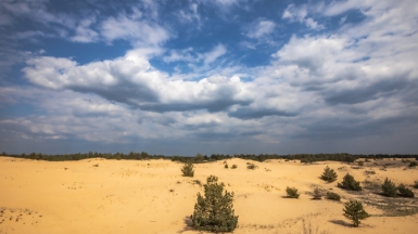 Фото нашего гида Михаила Верёвченко
