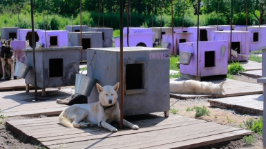 Фото из архива Клуба