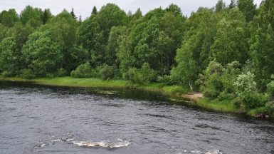 Фото нашего гида Алексея Петровского