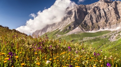 Фото: depositphotos.com