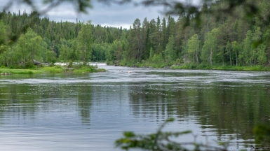 Фото: Julia Kirilova, unsplash.com