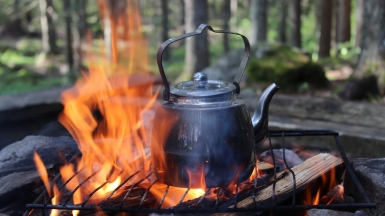 Фото: Anne Nygård, unsplash.com