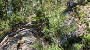 Фото нашей Странницы Татьяны Ладыкиной