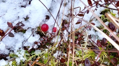 Фото Галины Чудновской
