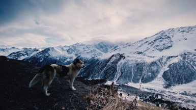 Фото нашей Странницы Елизаветы Богдановой 