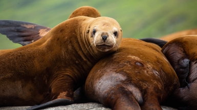 Фото из архива Клуба