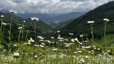 Фото нашего гида Марии Тергоевой