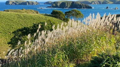 Фото из архива Клуба