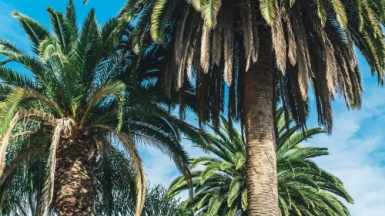 Фото: Marty O'Neill, unsplash.com