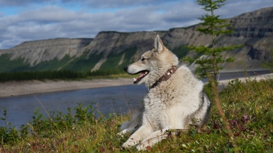 Фото из архива Клуба