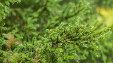 Фото: fotoshoom, visualhunt.com