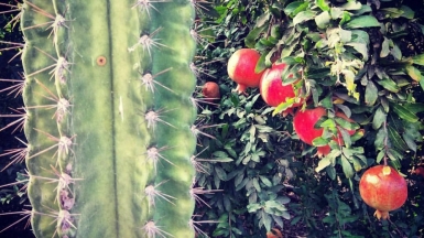 Фото нашего гида Евгении Скопиной