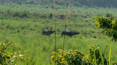 Фото нашего Странника Станислава Дышева