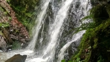 Фото нашего гида Елены Кузура