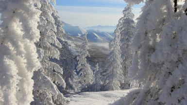 Фото: Михаил Местников