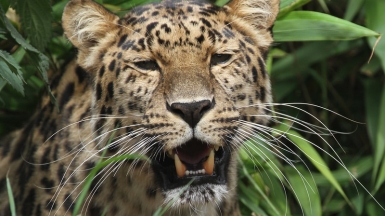 Фото: Ahisgett on Visualhunt