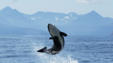 Фото: depositphotos