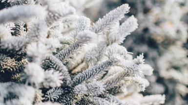 Ian Schneider on Unsplash.com