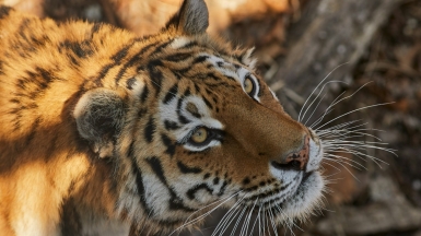 Фото: Tengyart on unsplash