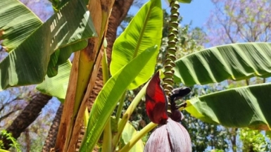 Фото нашего Странника Антона Воронова