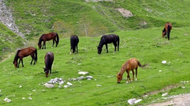 Фото из архива Клуба