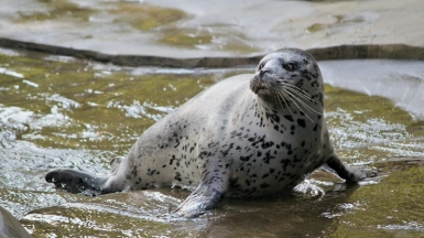 Фото: 
Dušan veverkolog, unsplash.com